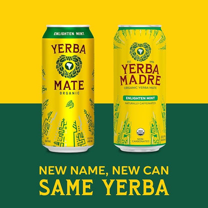 Guayakí Yerba Mate, Organic Energy Drink Alternative, Enlighten Mint, 150mg Natural Plant Based Caffeine, Better for You Energy & Focus, No Jitters or Crash, 15.5 Oz (Pack of 12) (Packaging May Vary)